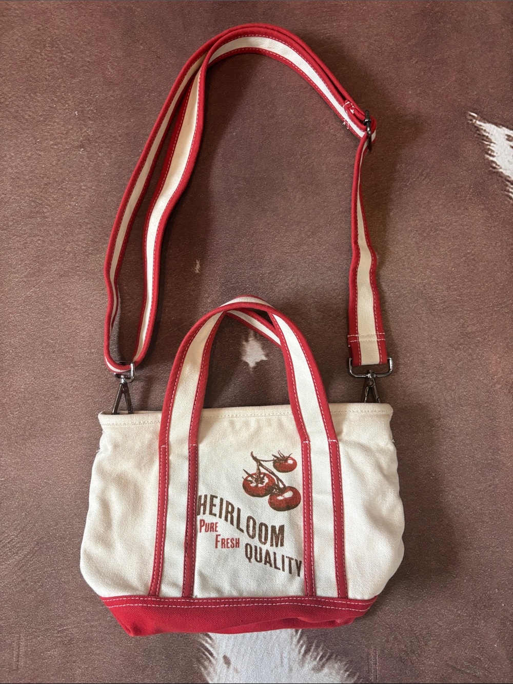 BDG Red Tomato Graphic Mini Canvas Tote Bag